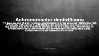 Medical vocabulary What does Achromobacter denitrificans mean [upl. by Tabber496]