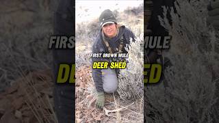 I would’ve missed number 11 for sure Deer Deersheds ShedHunting [upl. by Ainat]