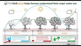 Actual Evapotranspiration amp Evapotranspiration Deficit Part 1 of 2 [upl. by Darya878]