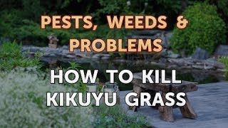 How to Kill Kikuyu Grass [upl. by Ydolem]