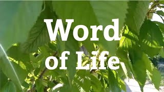 Word of Life October 2024 FocoB [upl. by Ailegnave170]