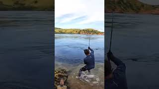 fishing flyfishing fish fishinglife bigfish bigcarpfish fishingtips bigcarp fishspecies [upl. by Lewert273]