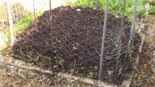 Our FallWinter Compost Pile Ensuring A Steady Supply Of Free Compost [upl. by Efram507]