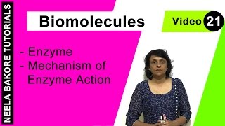 Biomolecules  NEET  Enzyme  Mechanism of Enzyme Action  Neela Bakore Tutorials [upl. by Yrrum960]