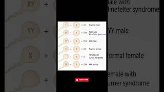 Understanding Chromosomal Disorders Klinefelter Turner Syndrome amp More Explained [upl. by Desireah]