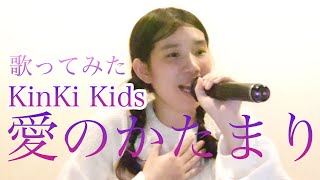 【歌ってみた】KinKi Kids愛のかたまり [upl. by Yttel346]