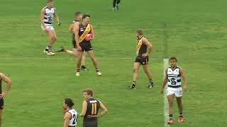 2016 SANFL ROUND 15 GLENELG v SOUTH [upl. by Welles140]