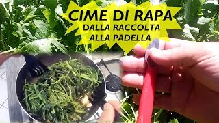 CIME DI RAPA DALLA RACCOLTA ALLA PADELLA [upl. by Prudence]