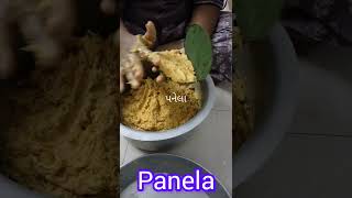 PANELA  Village recipe villagelifefood ytshorts yt viralvideo viralshorts indiandesserts [upl. by Naid]