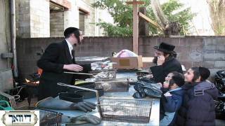 Erev Pesach in Boro Park Part 1 [upl. by Iret]