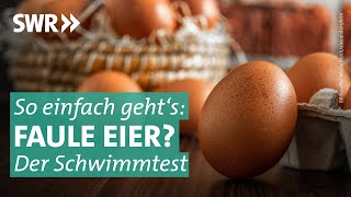 Ist das Ei wirklich noch frisch So geht der Test  Marktcheck SWR [upl. by Lazaro851]