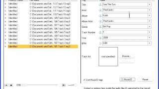Edit Audio Tags Automatically [upl. by Atterehs632]