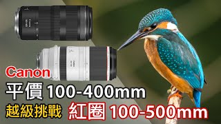 Canon 平價 RF100400mm F568 越級挑戰紅圈 RF 100500mm f4571  RF 100400 vs RF 100500 canon eosr5 [upl. by Kalila]