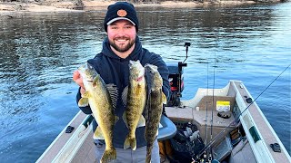 Mississippi River Walleye Fishing Catch Clean Cook [upl. by Petigny]