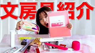 【新学期準備】学校で使えるグッズを大量購入！現役JKおさきは4月から受験生頑張る！！ [upl. by Ellener]