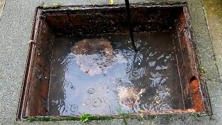 Manhole Unblock in the Pouring Rain 🌧️ [upl. by Fellner]