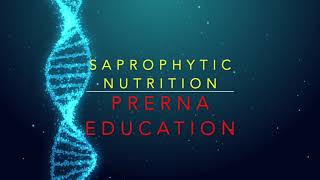 saprophytic mode of nutrition [upl. by Sirromed447]