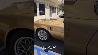 pontiac trans am firebird pontiac trans am firebird musclecar americancar shorts [upl. by Ahsaele270]