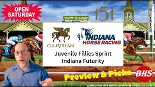 2024 Indiana Futurity  Preview amp Picks  Bonus Gulfstream PK Filly Sprint [upl. by Yadsnil508]