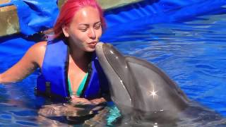 Puerto Vallarta Dolphin Adventure with Harley Tonelli and Vallarta Adventures [upl. by Tindall347]