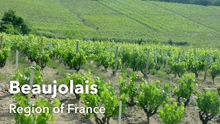 Beaujolais France  Famous Vineyards [upl. by Einafpets]