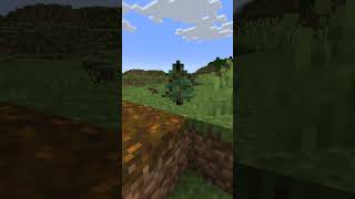 In Minecraft Podsol herstellen shorts [upl. by Weir]