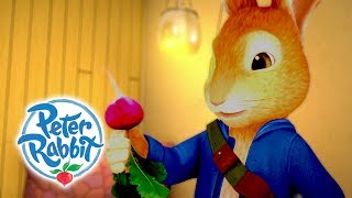 Peter Rabbit  Rabbits Love Radishes  Peter Rabbit Benjamin amp Lily  Cartoons for Kids [upl. by Yenots]