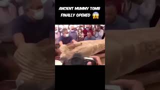 Unsealing a 2500YearOld Mummy Tomb Live AncientEgypt MummyMystery archaeology [upl. by Marleah]