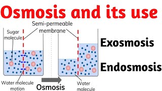 Osmosis and its use Endosmosis Exosmosis [upl. by Harrell]