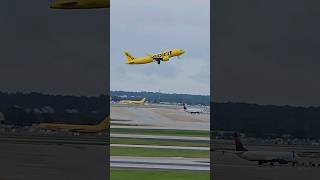 THE FLYING BANANA shorts spiritairlines viralvideo trending [upl. by Feldman]