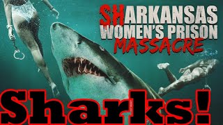 Sharkansas Womens Prison Massacre  Crazy Shark Fun [upl. by Lienad]