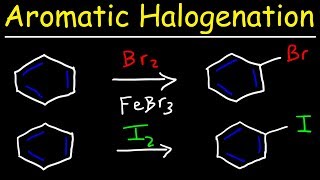 Aromatic Halogenation Mechanism  Chlorination Iodination amp Bromination of Benzene [upl. by Joelle498]