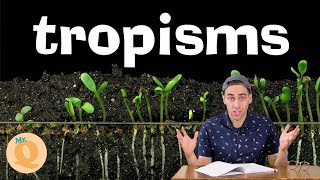 Plant Tropisms  For Kids [upl. by Terrie108]