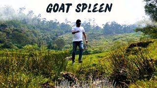 Goat spleen  Forest cooking  cooking in nature [upl. by Sal]