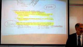 AUTONOMIC NERVOUS SYSTEM PART 3 by Professor Finkwmv [upl. by Halullat]