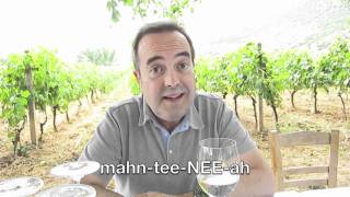 Mantinia Greek Grape Name amp Appellation Pronunciation Project [upl. by Nylsirk]