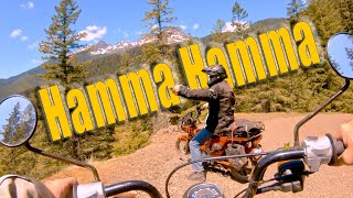 Hamma Hamma Backcountry ADV RIde  Honda Trail CT125 CT110 [upl. by Leitnahs117]