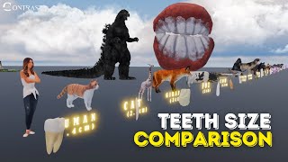 Monster Teeth 3D Size Comparison [upl. by Dane754]