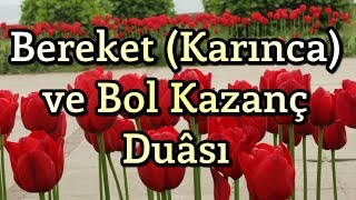 Bereket Duası  Karınca Duası  Bol Rızık Duası  Amin [upl. by Atsirc]