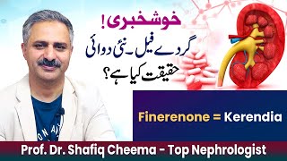 Slow Kidney failure with Finerenone  Uses Side effects amp How to Use [upl. by Zebapda]