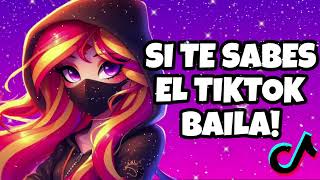 si te sabes el tiktok baila  2024 [upl. by Wendi155]