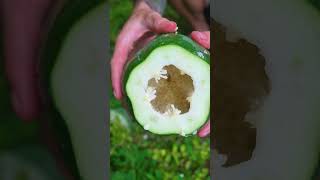 Entertainment channel how to make cool water with papaya entertainmentchannel food tiktok [upl. by Mulligan]