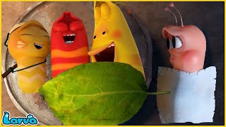 LARVA SEASON 3 EPISODE 416  520 🍟 NEST VERSION LARVA  MINI SERIES FROM ANIMATION LARVA [upl. by Nazus761]