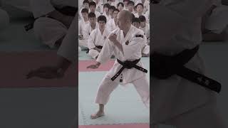 The Speed and Power of Shorinji Kempo martialarts [upl. by Drucy]