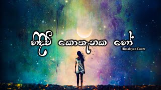 Hindiwi Kothanaka Ho quotහිදීවි කොතැනක හෝ quot Cover Song  Himalayan [upl. by Kaylee]