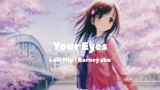 Your Eyes Barney sku Slowed and Reverbed  Lofi Flip [upl. by Bridgid]