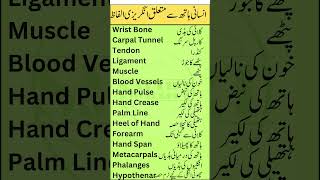 Hand Anatomy Vocabulary in English with Urdu Meanings  Smart Study Zone  Part 3 [upl. by Yetak]