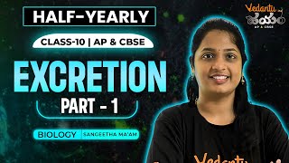 Excretion Part 1  HalfYearly  SA1 Class 10 in Telugu  AP State Board amp CBSE  Sangeetha Maam [upl. by Alwyn386]