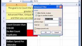 YTLE54 Excel Advanced Filter and COUNTIF function [upl. by Amalita]