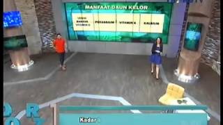 Dr OZ Indonesia Manfaat Daun Kelor 1 November 2014 [upl. by O'Neil]